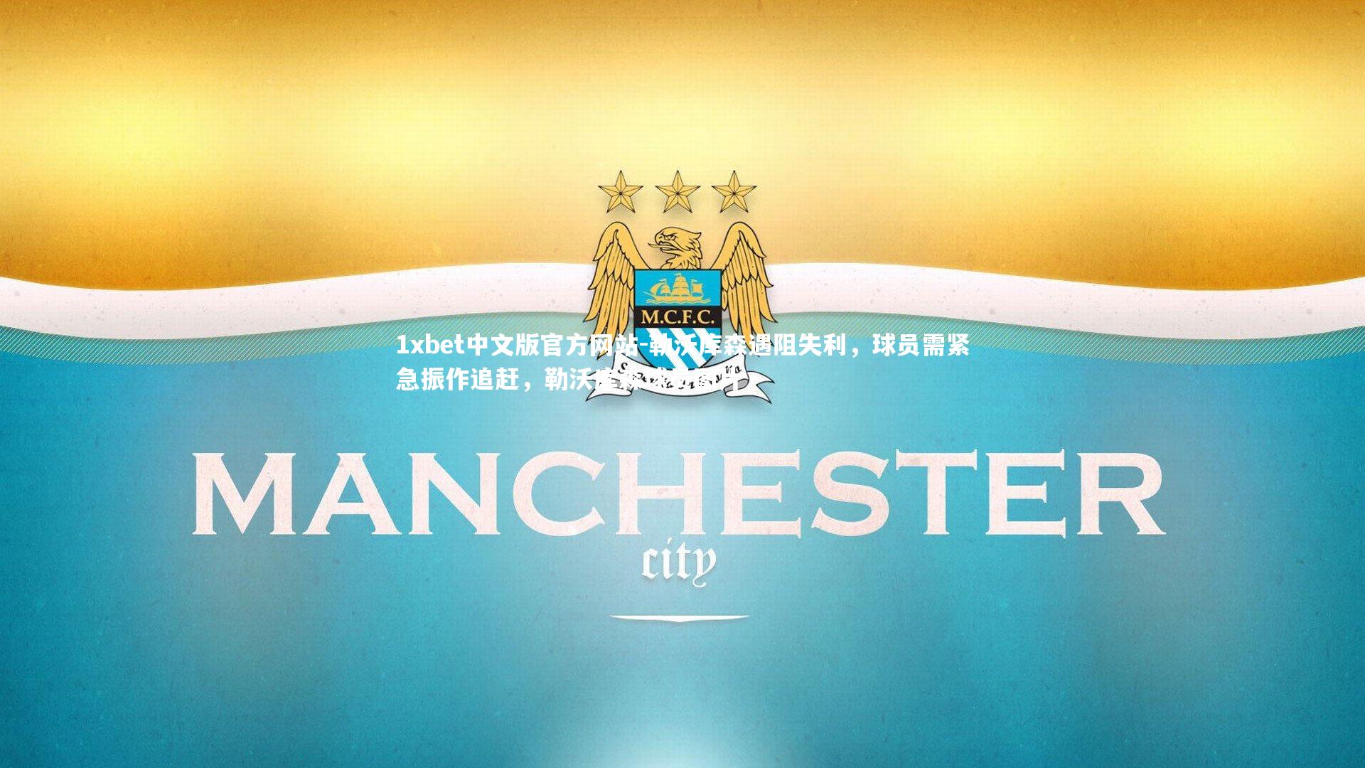 勒沃库森遇阻失利,球员需紧急振作追赶,勒沃库森球员图片