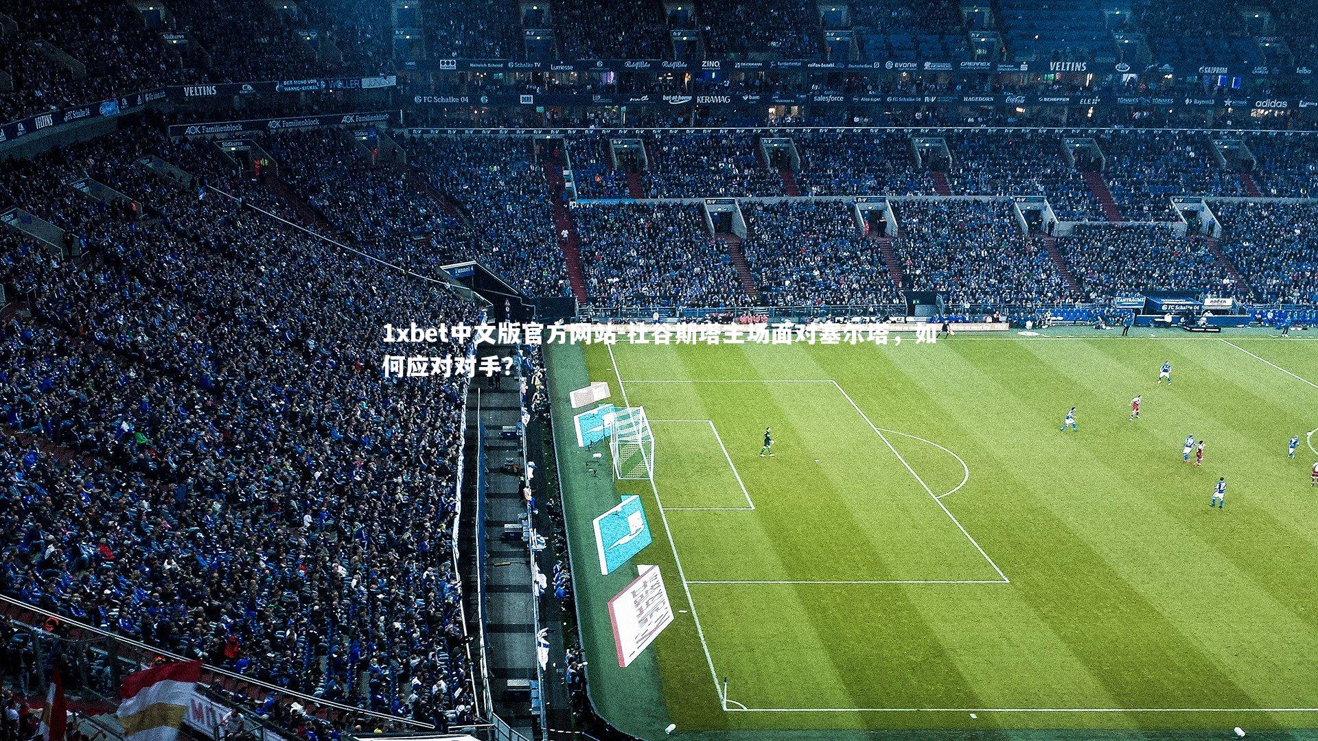 1xbet中文版官方网站-社谷斯塔主场面对塞尔塔，如何应对对手？