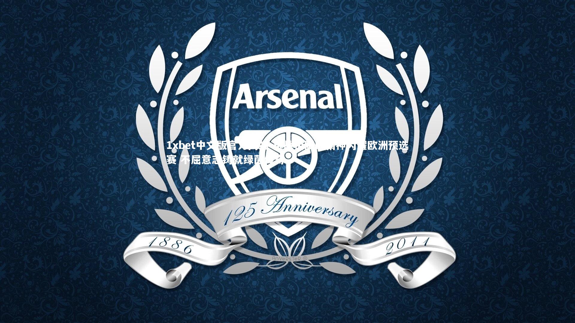 挑战极限的精神闪耀欧洲预选赛 不屈意志铸就绿茵传奇