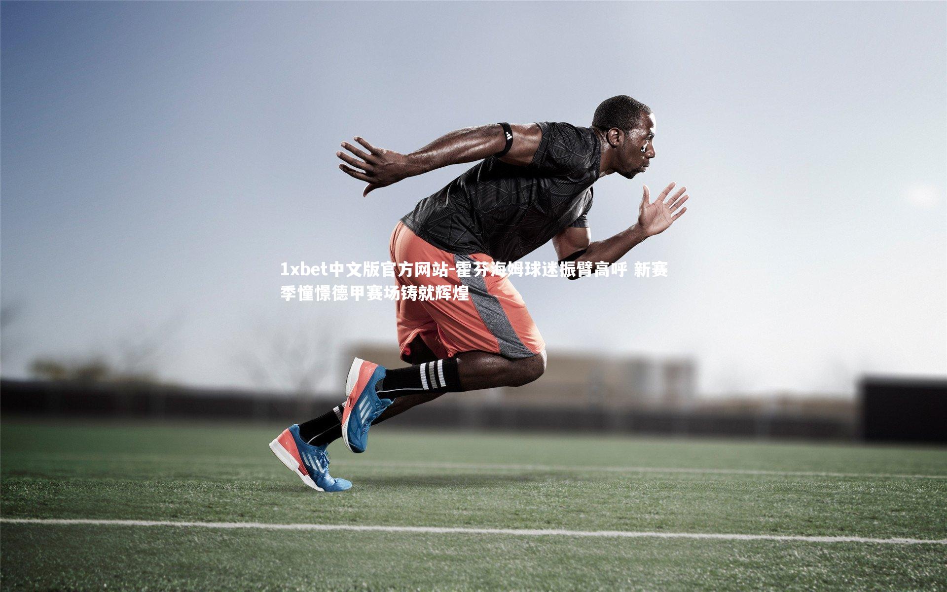 霍芬海姆球迷振臂高呼 新赛季憧憬德甲赛场铸就辉煌