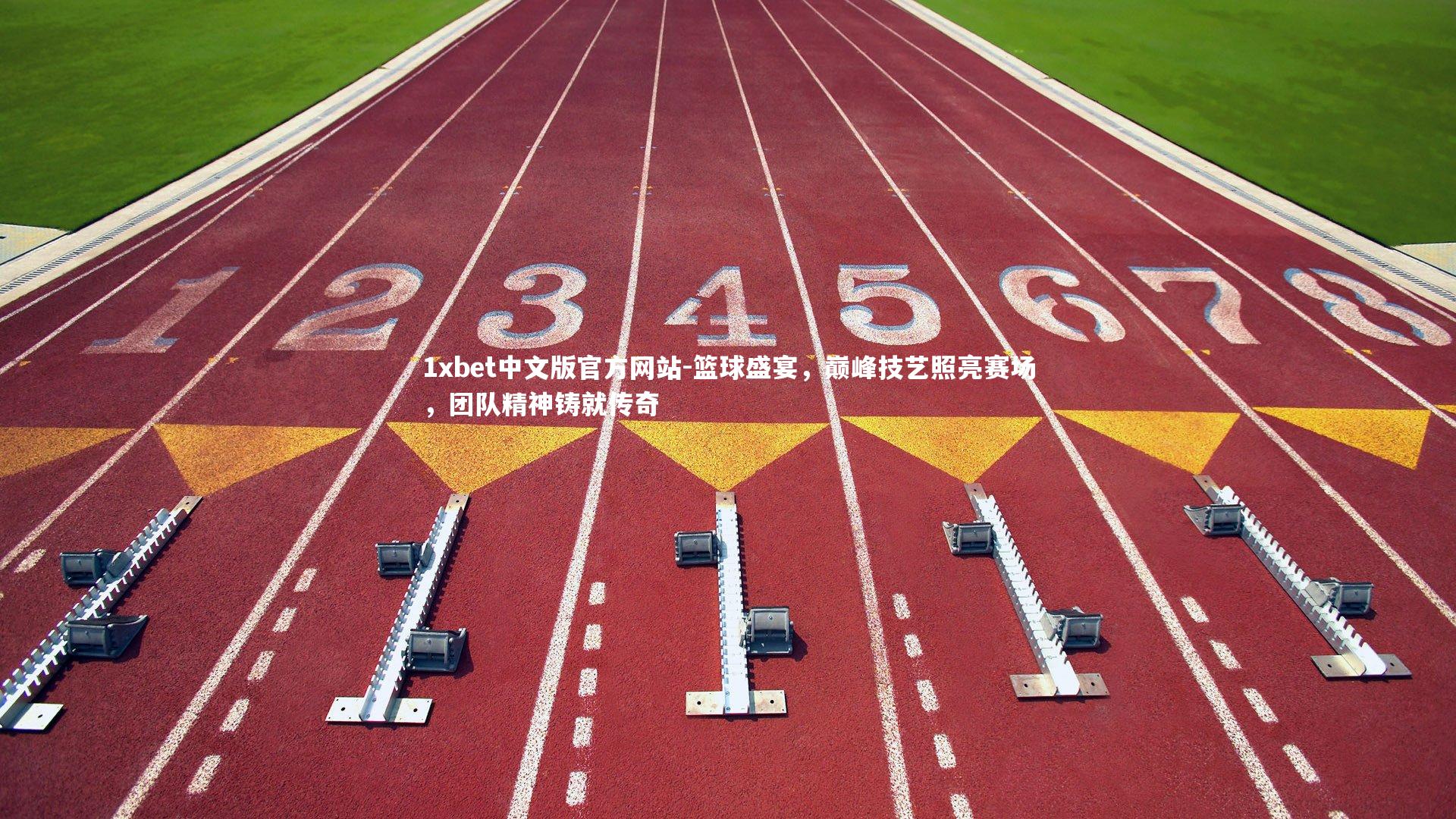 篮球盛宴，巅峰技艺照亮赛场，团队精神铸就传奇